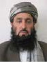 Shahed_Shahid_Shahzada